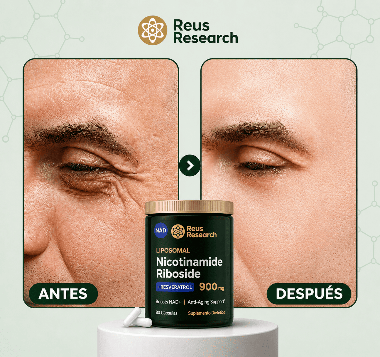 NAD+ Resveratrol: 900g de Vitalidad